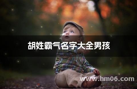 胡姓霸气名字大全男孩