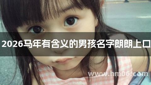 2026马年有含义的男孩名字朗朗上口