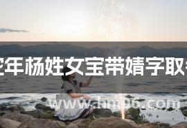 蛇年杨姓女宝带婧字取名