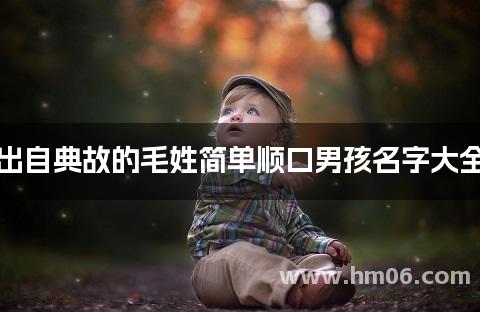 出自典故的毛姓简单顺口男孩名字大全