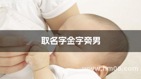 取名字金字旁男