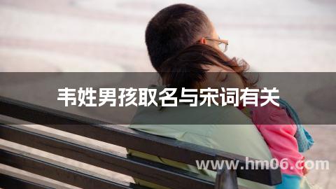 韦姓男孩取名与宋词有关