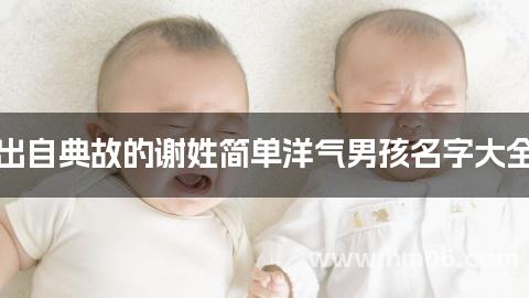 出自典故的谢姓简单洋气男孩名字大全