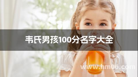 韦氏男孩100分名字大全