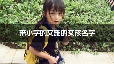 带小字的文雅的女孩名字