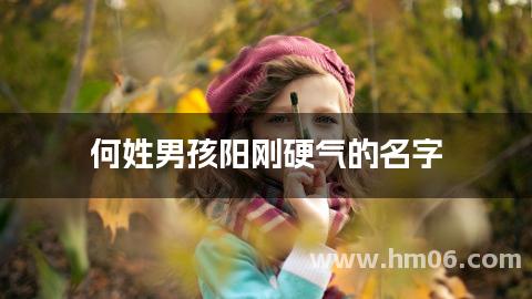 何姓男孩阳刚硬气的名字