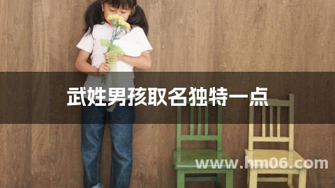 武姓男孩取名独特一点