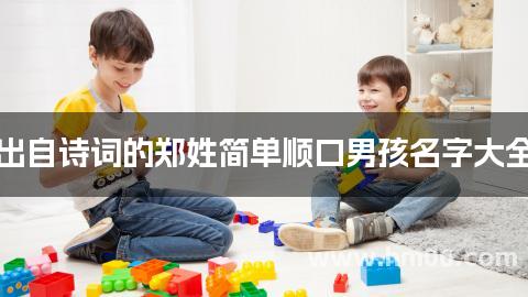 出自诗词的郑姓简单顺口男孩名字大全