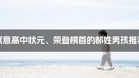 寓意高中状元、荣登榜首的郝姓男孩推荐