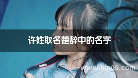 许姓取名楚辞中的名字
