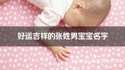 好运吉祥的张姓男宝宝名字