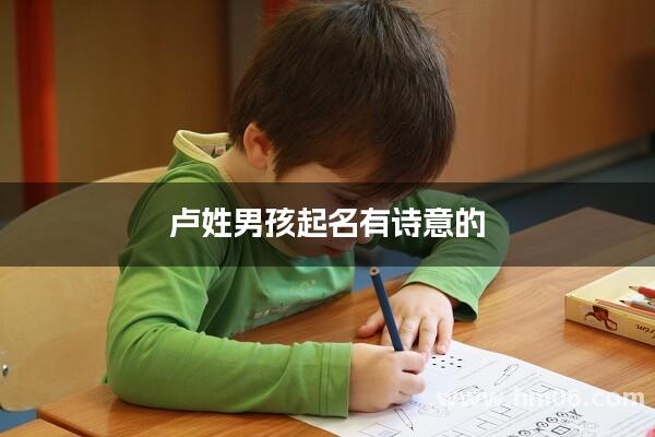 卢姓男孩起名有诗意的
