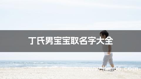 丁氏男宝宝取名字大全