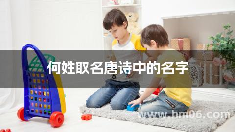 何姓取名唐诗中的名字