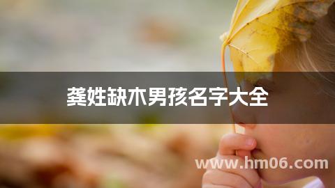 龚姓缺木男孩名字大全