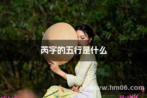 芮字的五行是什么