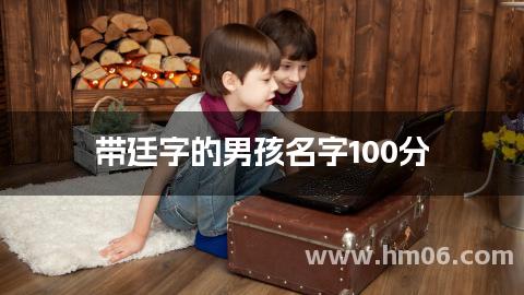 带廷字的男孩名字100分