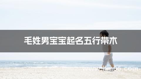 毛姓男宝宝起名五行带木