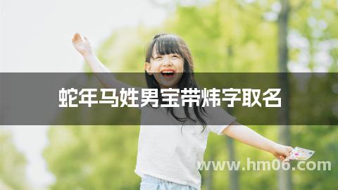 蛇年马姓男宝带炜字取名