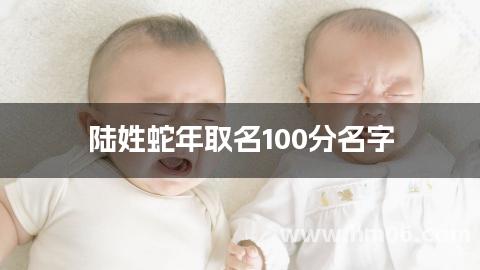 陆姓蛇年取名100分名字