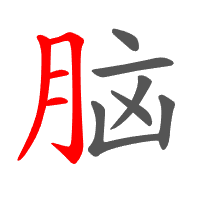 脑